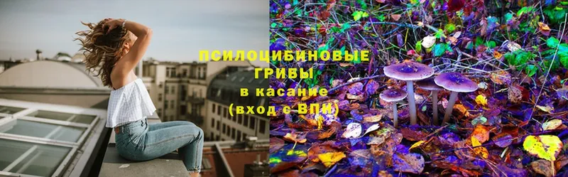 Псилоцибиновые грибы Magic Shrooms  даркнет официальный сайт  Чита 